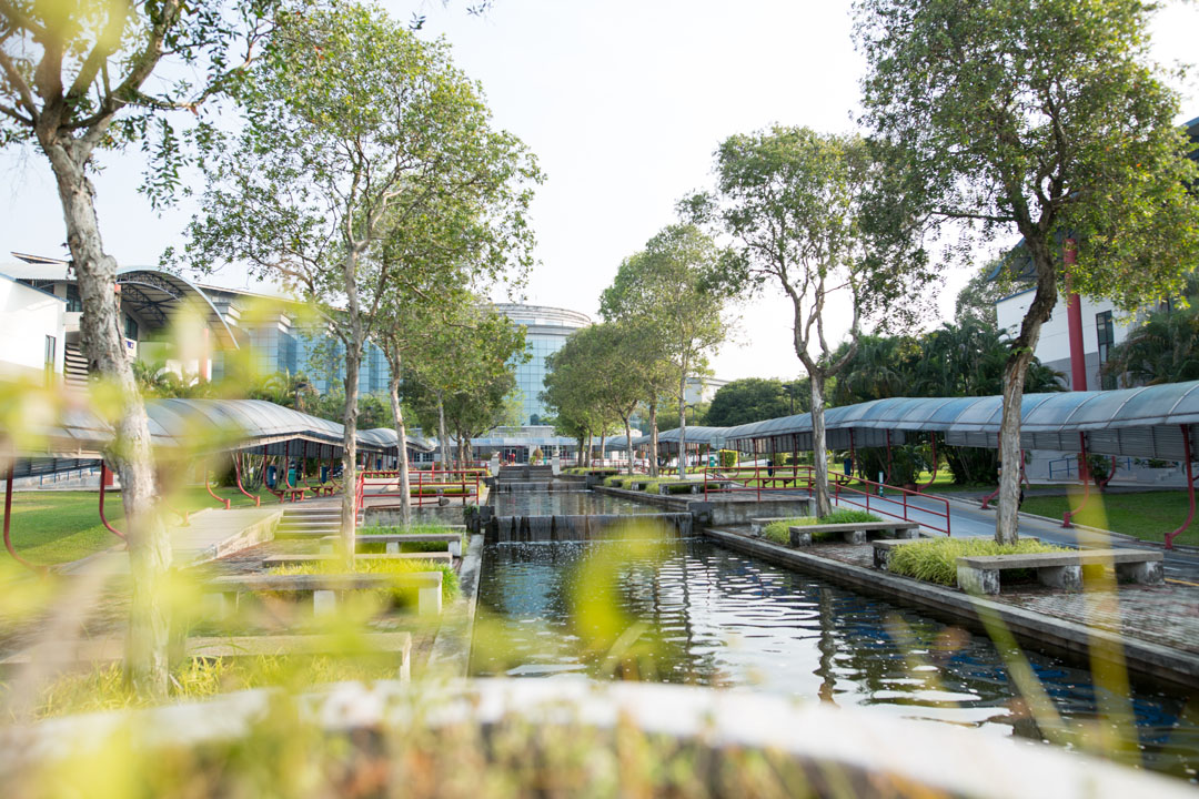 university-06-the-streams